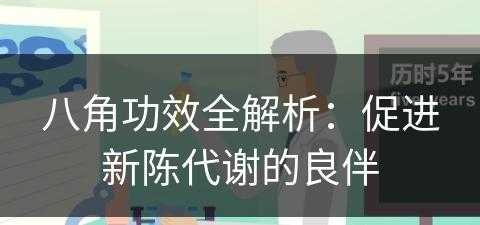 八角功效全解析：促进新陈代谢的良伴